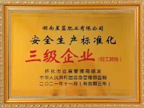 2021年11月安全生產(chǎn)標(biāo)準化三級企業(yè)（輕工其他）
